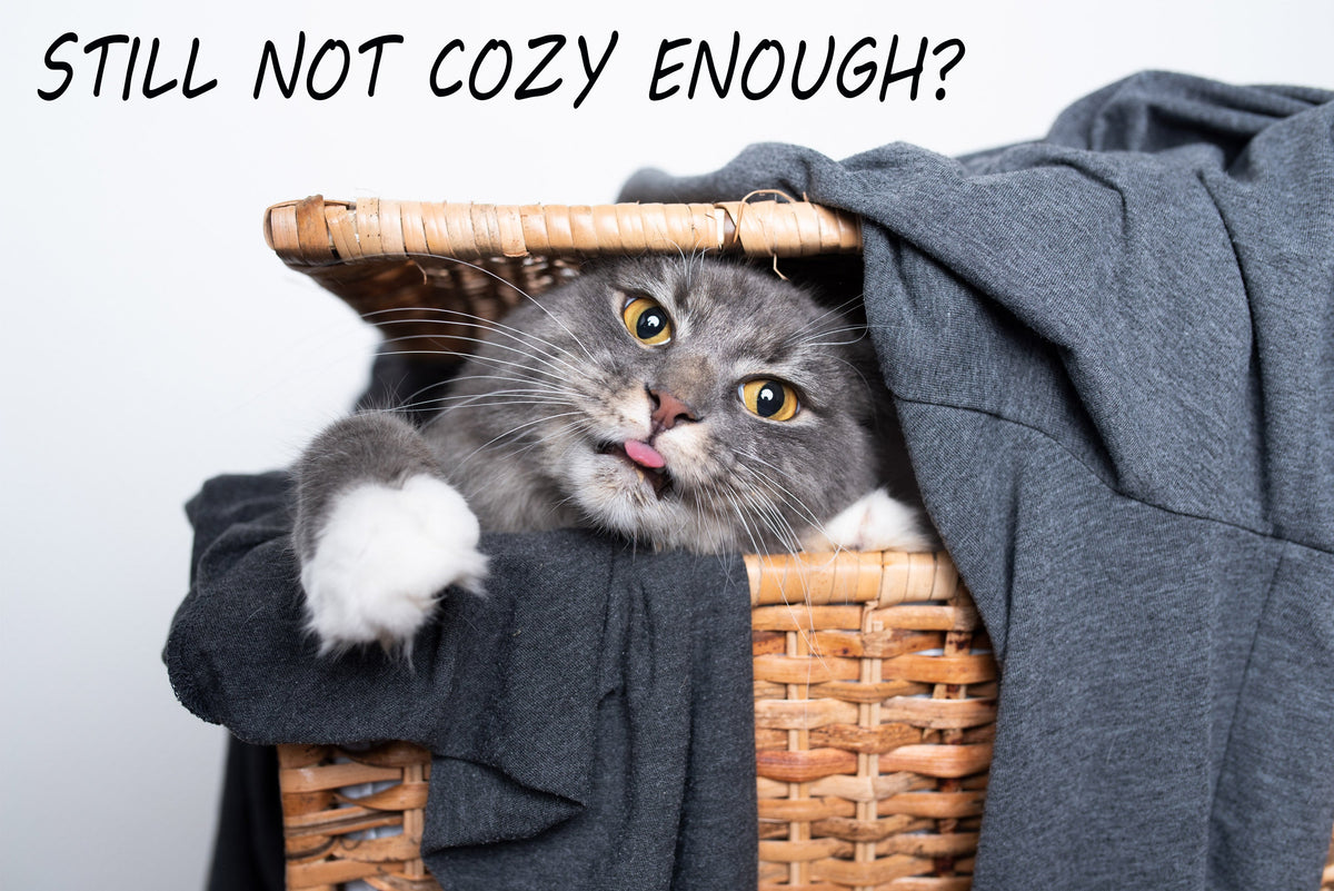 Cozy Throws