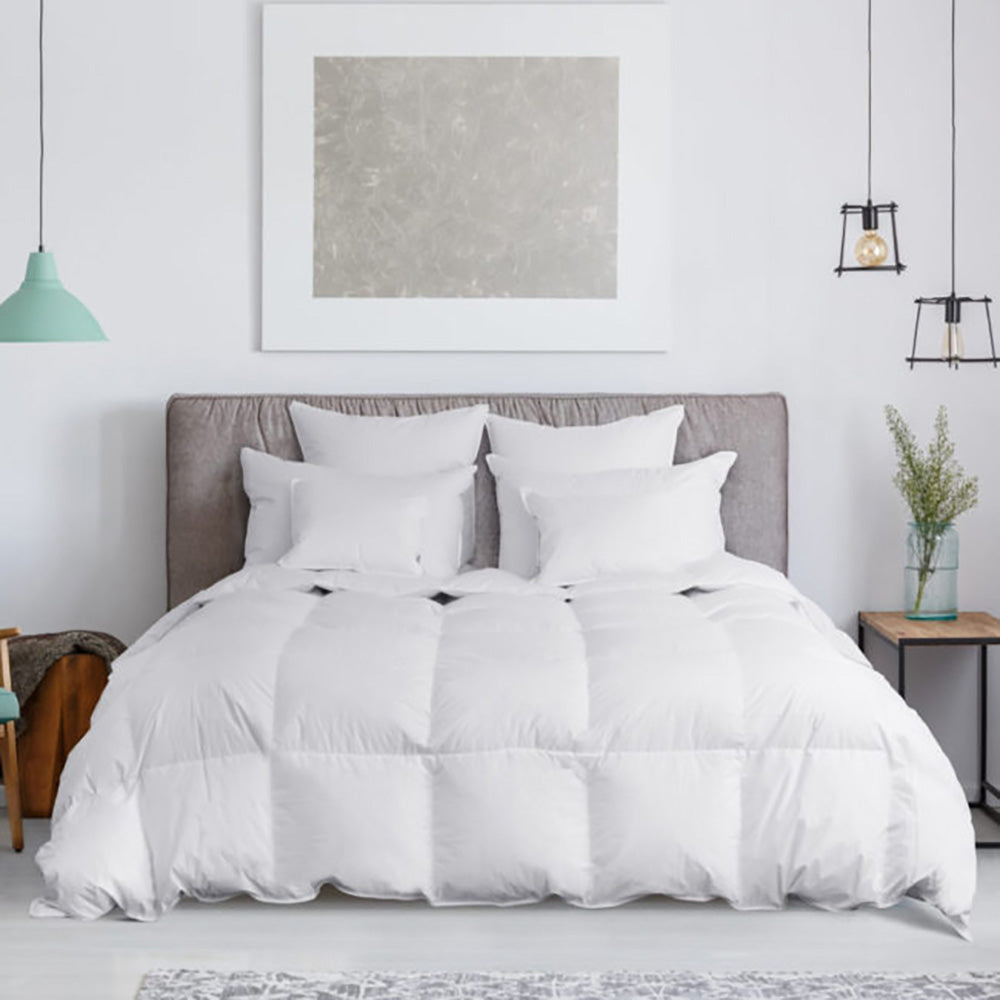 Bed Basics