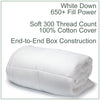 Cloud 650+ White Down Comforter