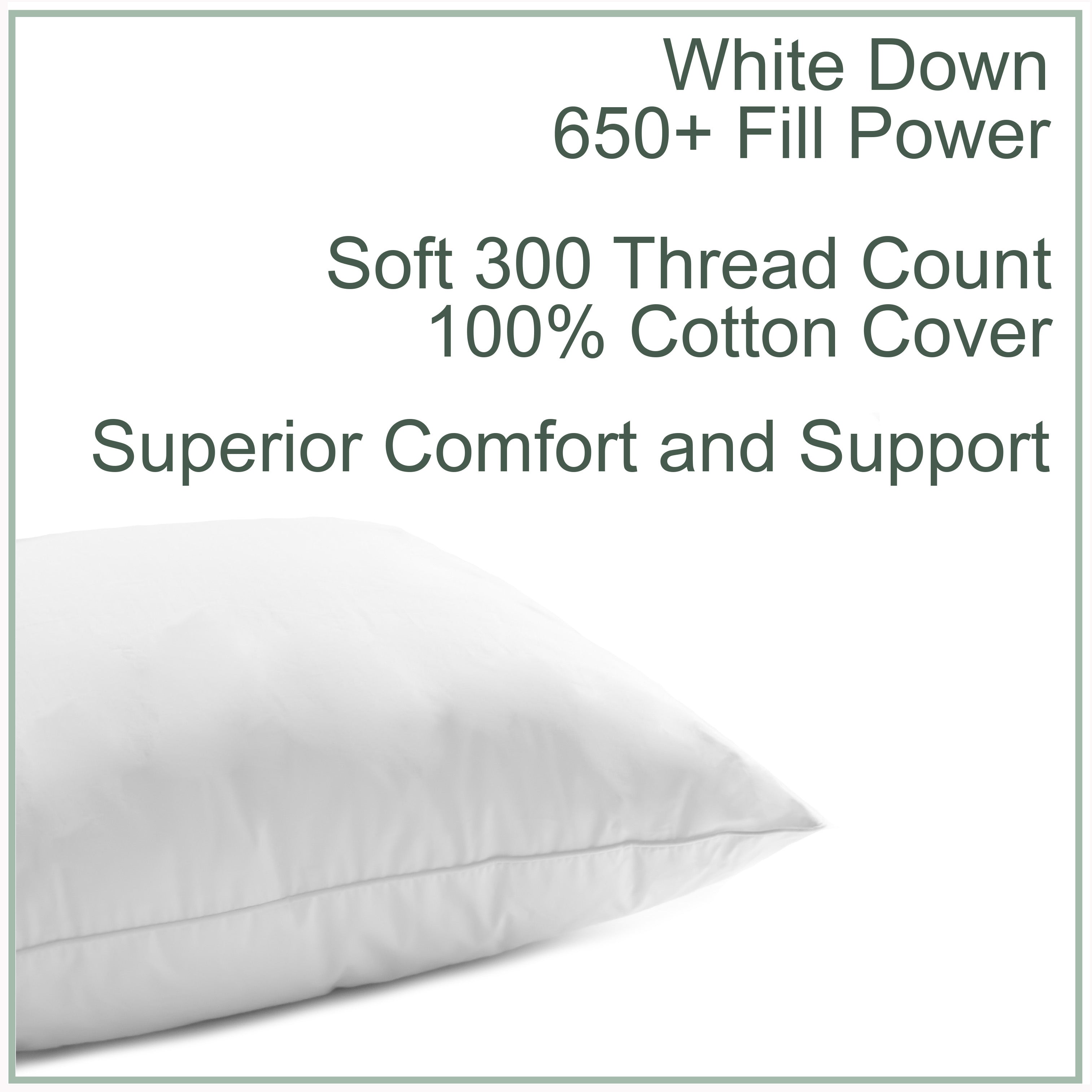 Cloud 650+ White Down Pillow