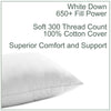 Cloud 650+ White Down Pillow