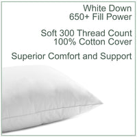 Cloud 650+ White Down Pillow