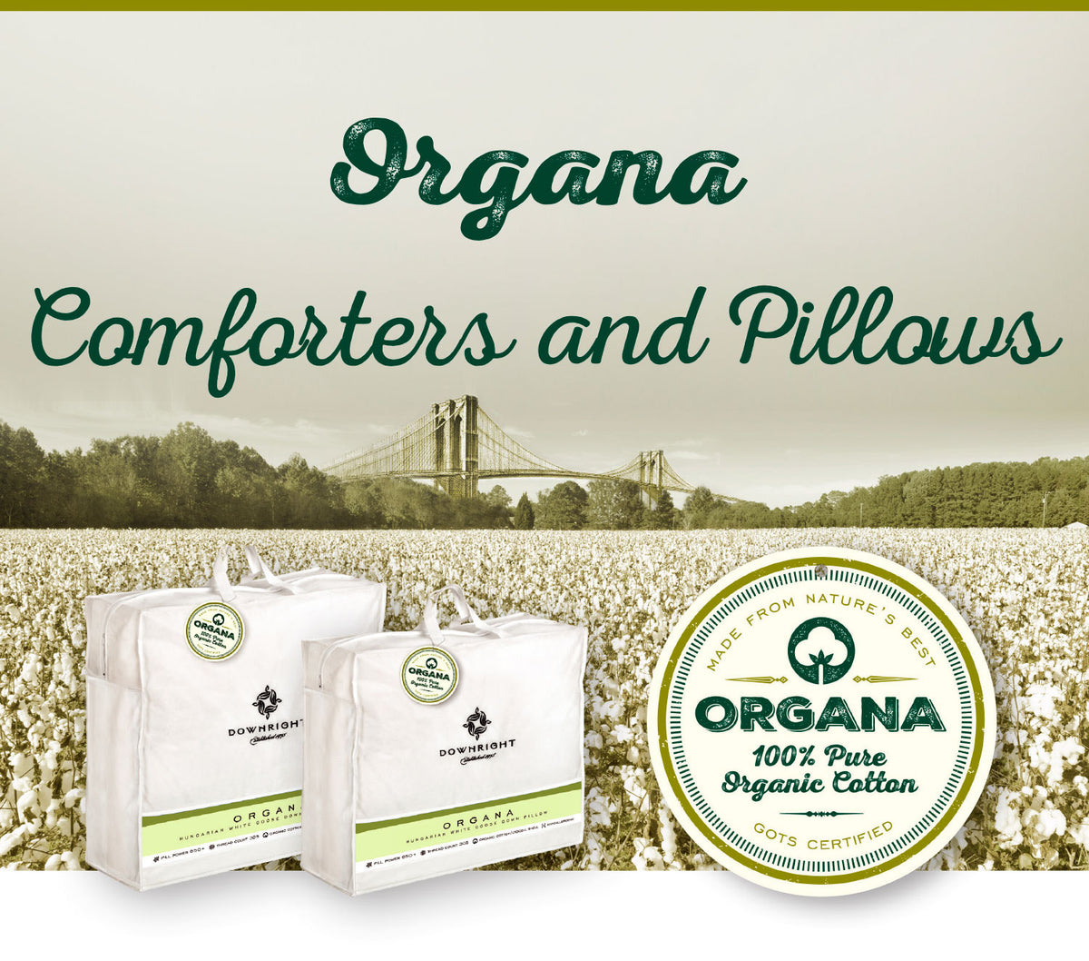 Organa 650+ Certified Organic White Goose Down Comforter