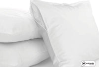 Pair of Organic Pillow Protectors